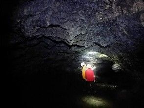 プランの魅力 の画像