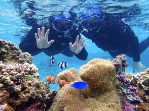 プランの魅力 天然水族館！ の画像