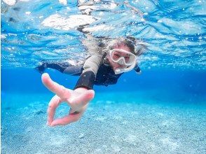 プランの魅力 初學者安全！ の画像