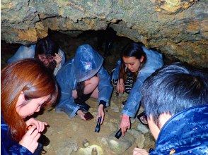 プランの魅力 子供心を掻き立てる！ の画像