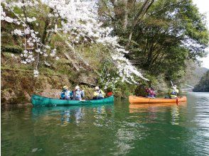 プランの魅力 水辺からのお花見 の画像