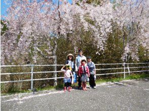 プランの魅力 時には散歩にも の画像