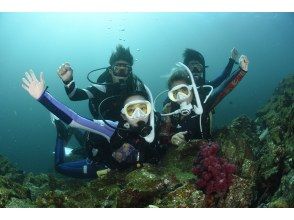 プランの魅力 浅場で基礎練習が終わったら・・・ の画像