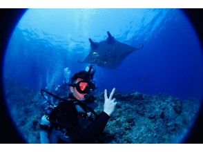 プランの魅力 Manta ray! ?? の画像