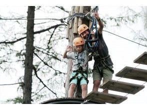 プランの魅力 Japan's largest tree adventure ♪ の画像