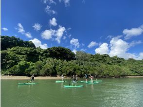 プランの魅力 The largest river on the main island of Okinawa! の画像
