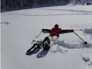 プランの魅力 Dive into the snow の画像