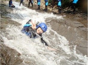 プランの魅力 スプラッシュ! の画像