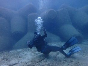 プランの魅力  の画像