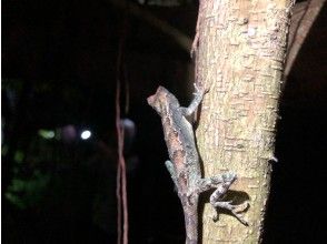プランの魅力 の画像