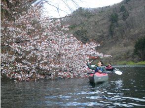 プランの魅力 春カヌー の画像