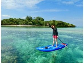 プランの魅力 石垣島の美ら海クルーズ の画像