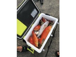 プランの魅力 釣れなかったらすぐ移動！5～10箇所回ります！ の画像