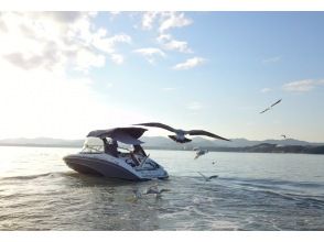 プランの魅力 ☆The ever-popular Black-headed Gull Feeding Experience☆ の画像