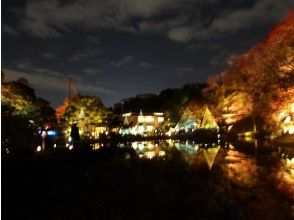 プランの魅力  の画像