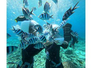 プランの魅力 海上漫步 の画像