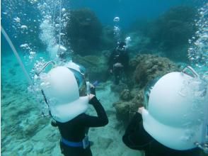 プランの魅力 underwater Shooting の画像