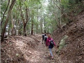 プランの魅力 ハイク風景 の画像