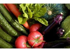 プランの魅力 Fresh vegetables from the field の画像