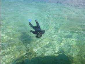 プランの魅力 Snorkeling in the sea of Iriomote Island! The coral reef is full. の画像