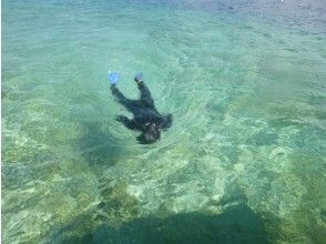 プランの魅力 ดำน้ำดูปะการังในมหาสมุทรของเกาะ Iriomote! แนวปะการังเต็ม の画像