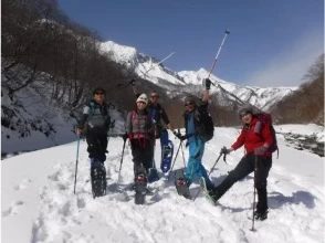 プランの魅力  の画像