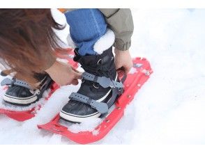 プランの魅力 Wear snowshoes and go out in the forest の画像