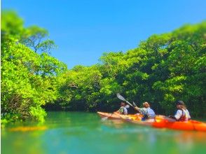 プランの魅力 最高の景色・体験に感謝 の画像