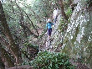 プランの魅力 スリル満点の登山道 の画像