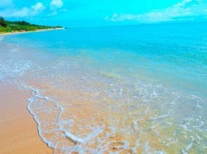 プランの魅力 絶景の自然海岸 の画像