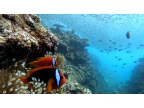 プランの魅力 พระอาทิตย์ตกที่ Cape Maeda กับ Blue Cave ก็ดีที่สุดเช่นกัน♪ の画像