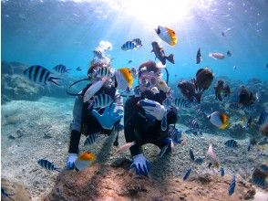 プランの魅力 魚將來拜訪我們♪ の画像