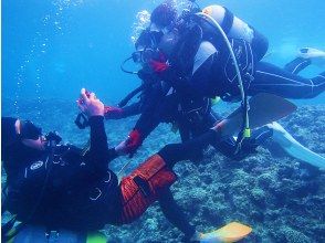 プランの魅力 地標是海藍色和金色的烏龜！ の画像