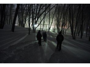 プランの魅力 静寂の光徳の森へ！（2月） の画像