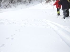 プランの魅力 動物の足跡を発見!これはうさぎの足跡。 山の中ではこんな発見もありますよ♪ の画像
