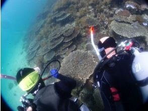 プランの魅力 水中浮遊を！ の画像