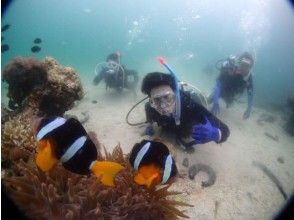 プランの魅力 の画像