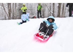 プランの魅力 勢いつけて～… の画像