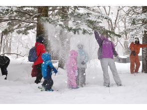 プランの魅力 雪のシャワ～！ の画像