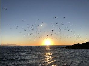 プランの魅力 눈에 띄는 푸른 동굴‼ ️ の画像