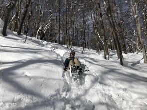 プランの魅力 お尻滑りも楽しい！ の画像