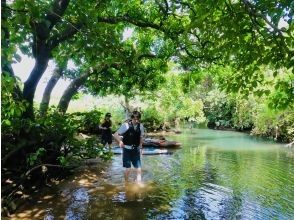 プランの魅力 マングローブ林を散策‼️ の画像