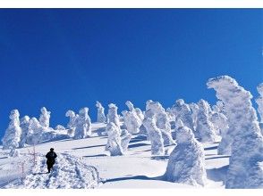 プランの魅力 冬の樹氷:1~3月 の画像