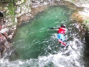 プランの魅力 The water is clean because it is a clear stream! You can also see the fish swimming. の画像