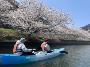 プランの魅力 桜が満開の湖に出発！ の画像