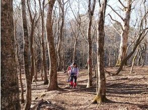 プランの魅力 黒岳山頂への稜線 の画像