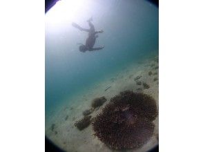 プランの魅力 の画像