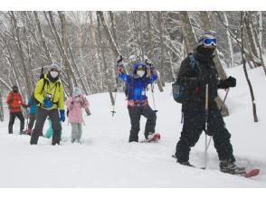 プランの魅力 真冬の奥日光は雪の世界! の画像