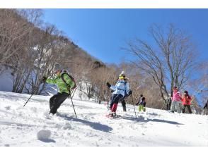 プランの魅力 パウダースノーを楽しもう の画像