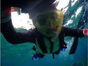 プランの魅力 海デビューもお任せ! の画像